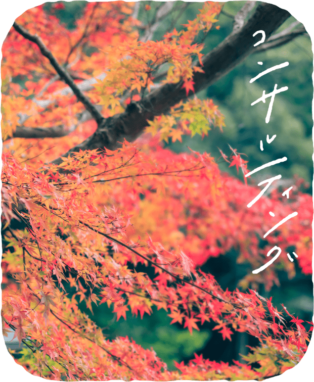 コンサルティング